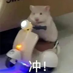 AP考试