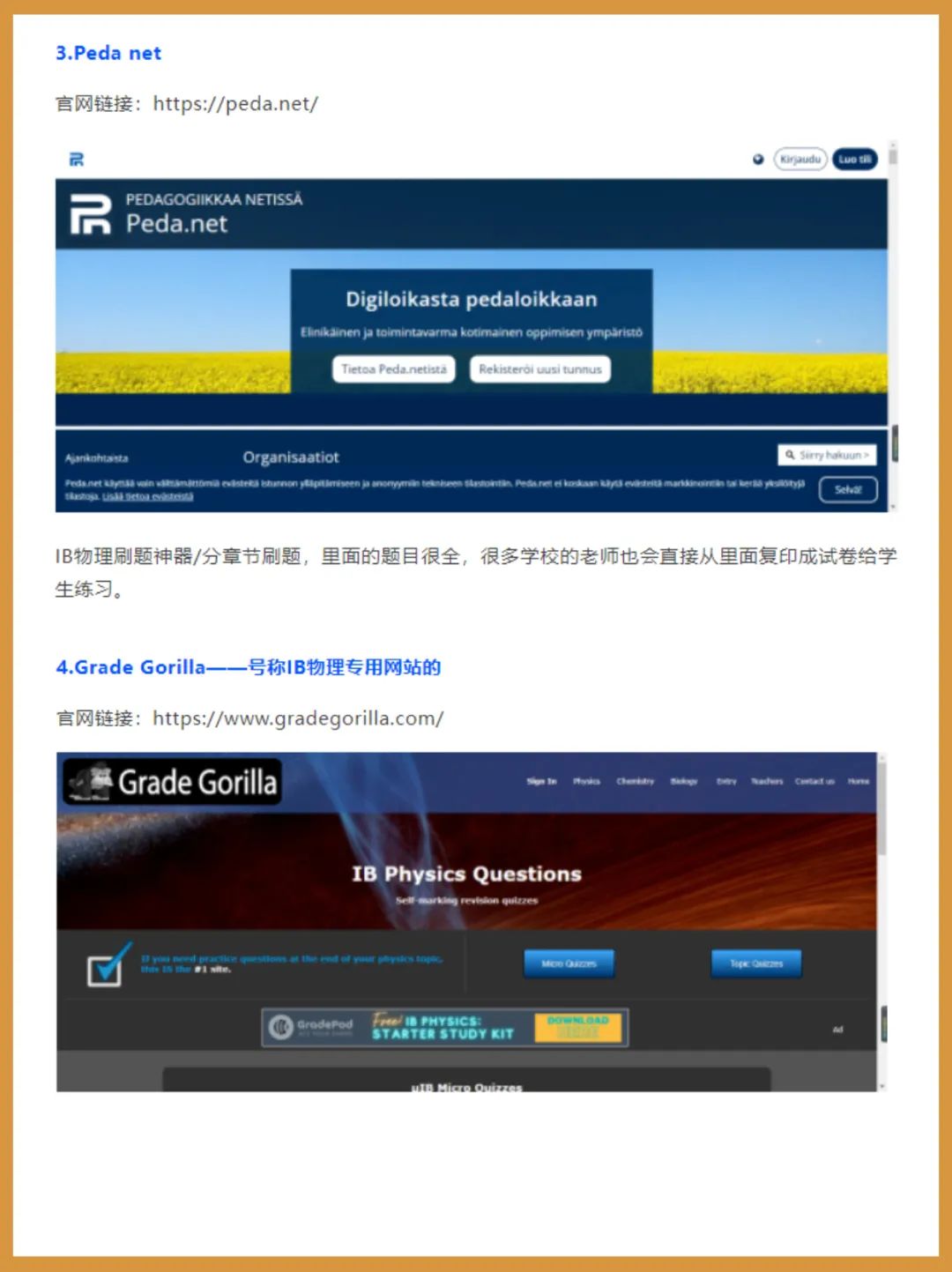 IB课程