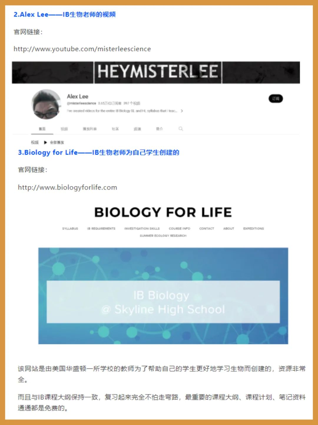 IB课程