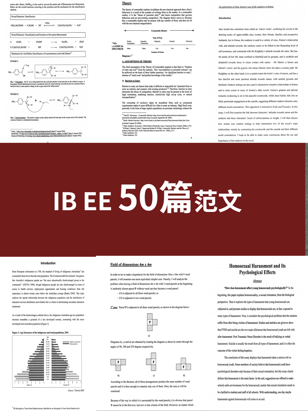 IB课程