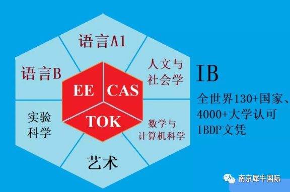 IB课程