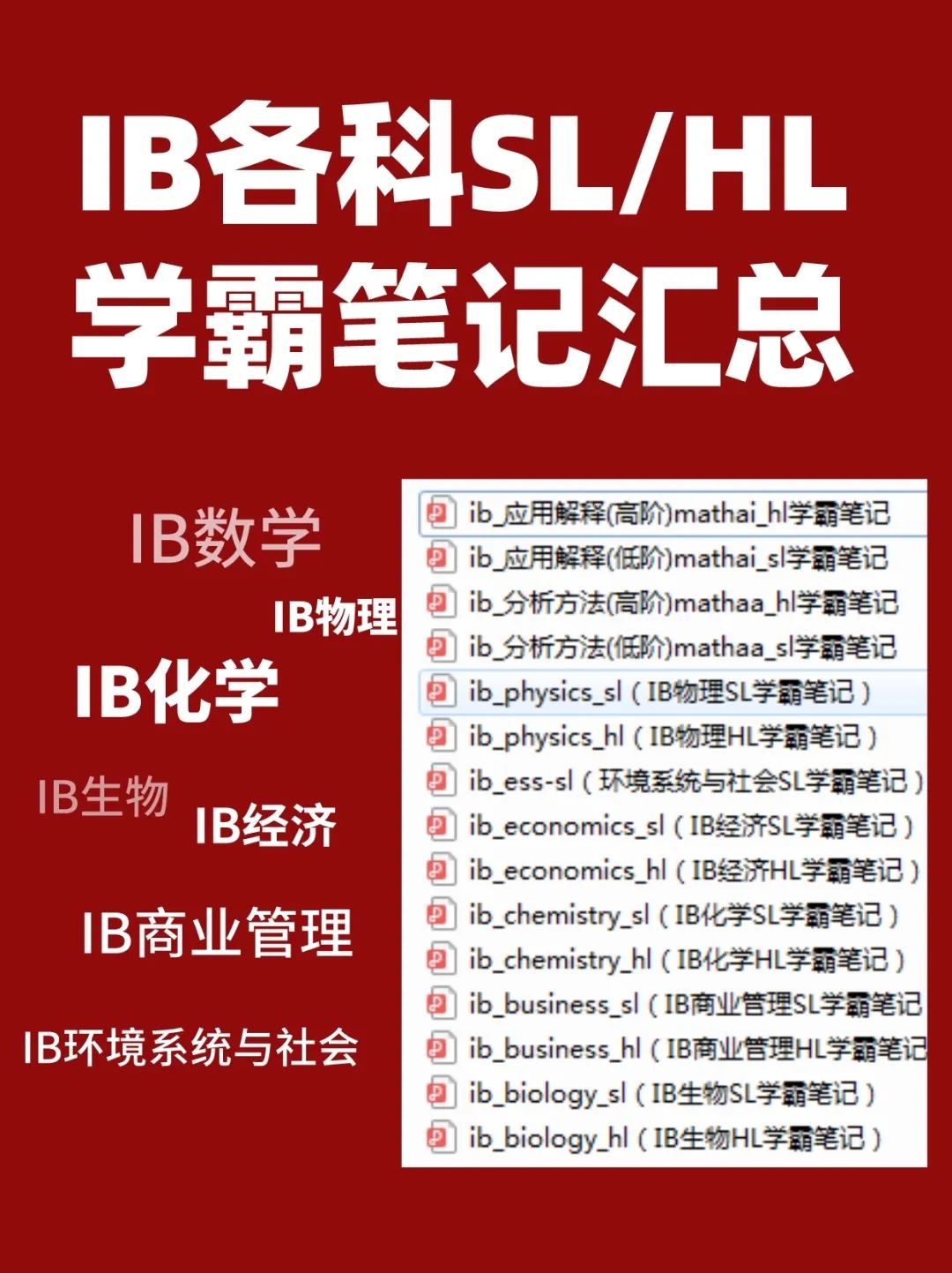 IB课程