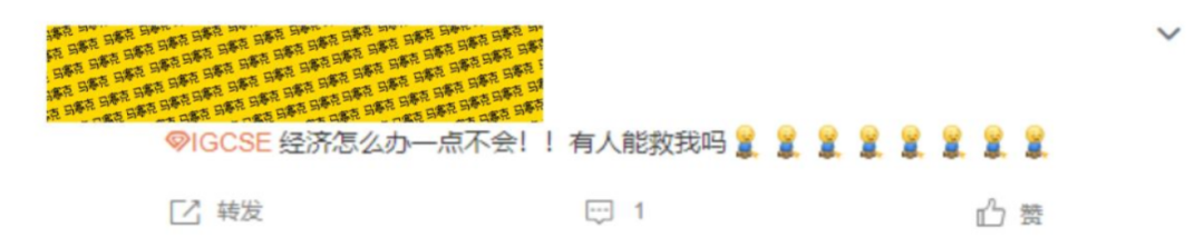 IGCSE经济