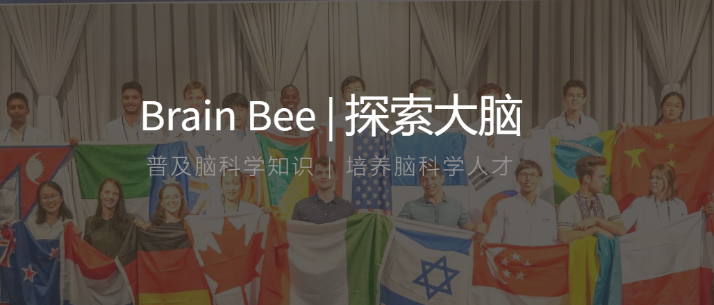 国际竞赛