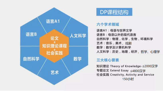 IB课程