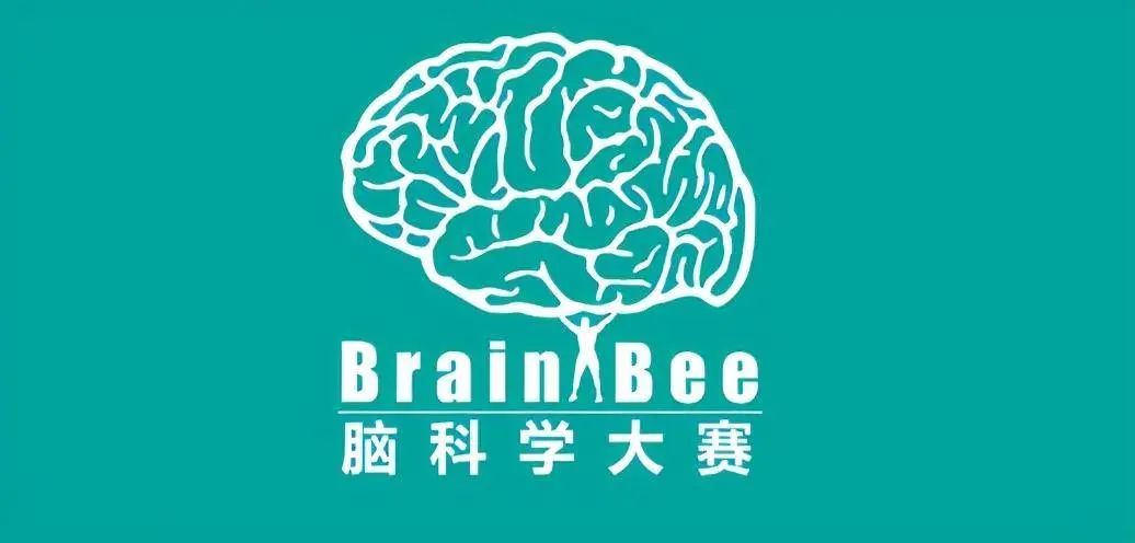 AMC竞赛