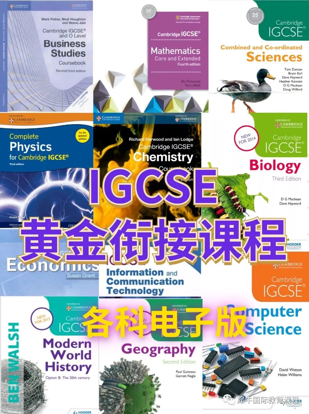 IGCSE课程