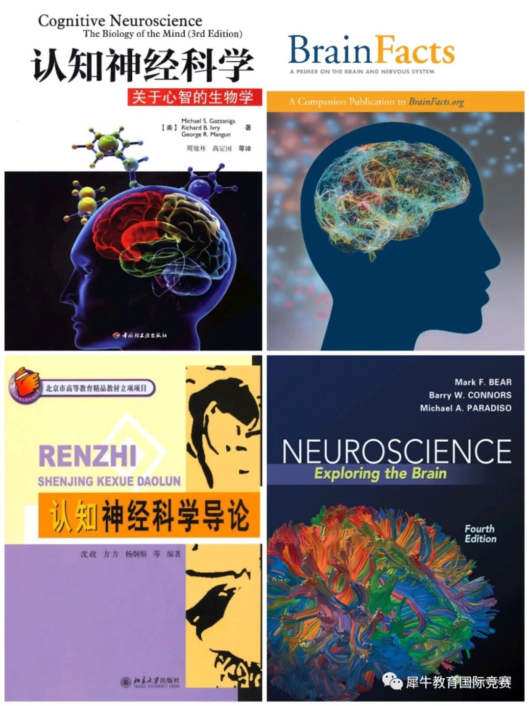 Brain Bee脑科学大赛