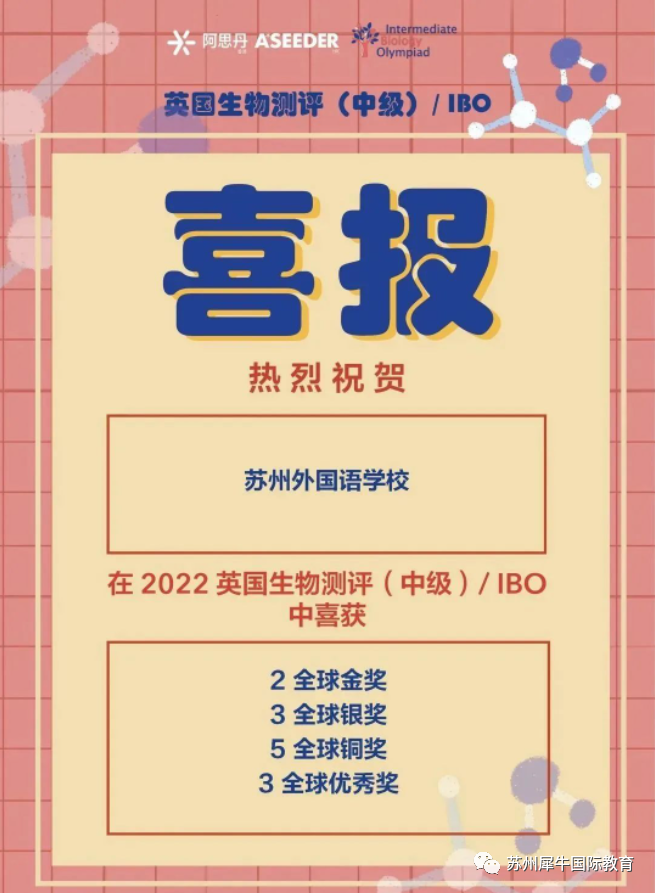 国际学校