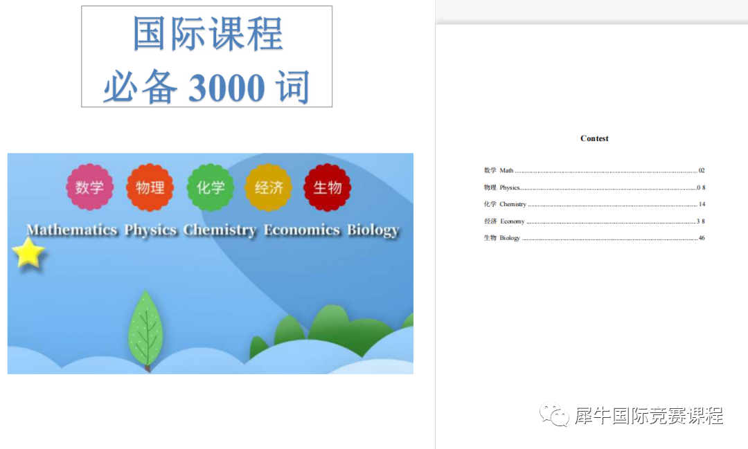 IGCSE经济