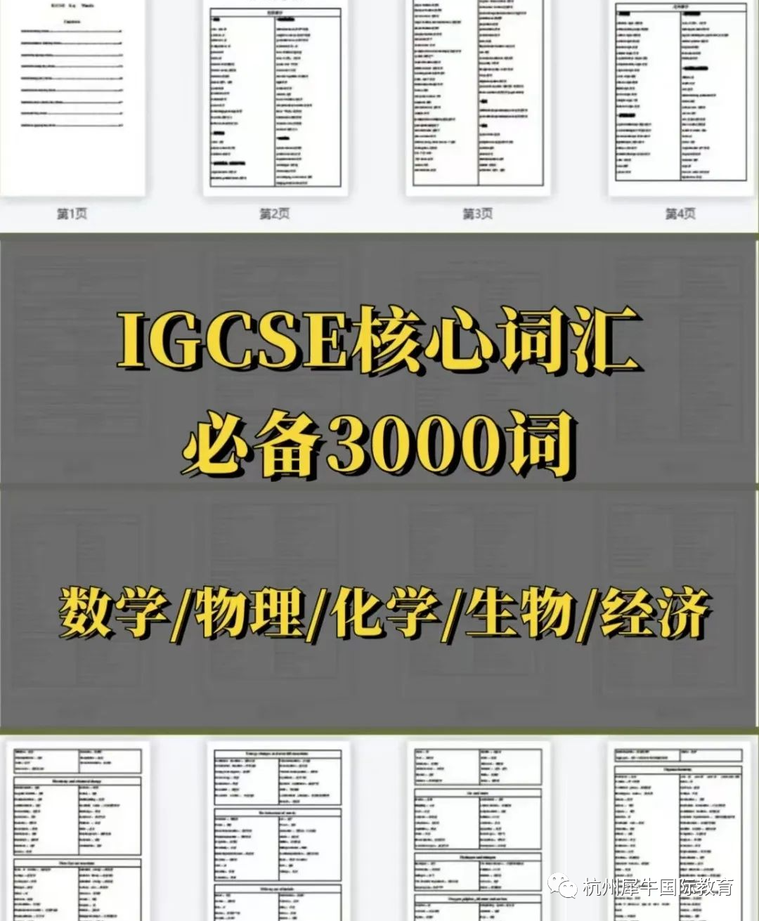 IGCSE课程