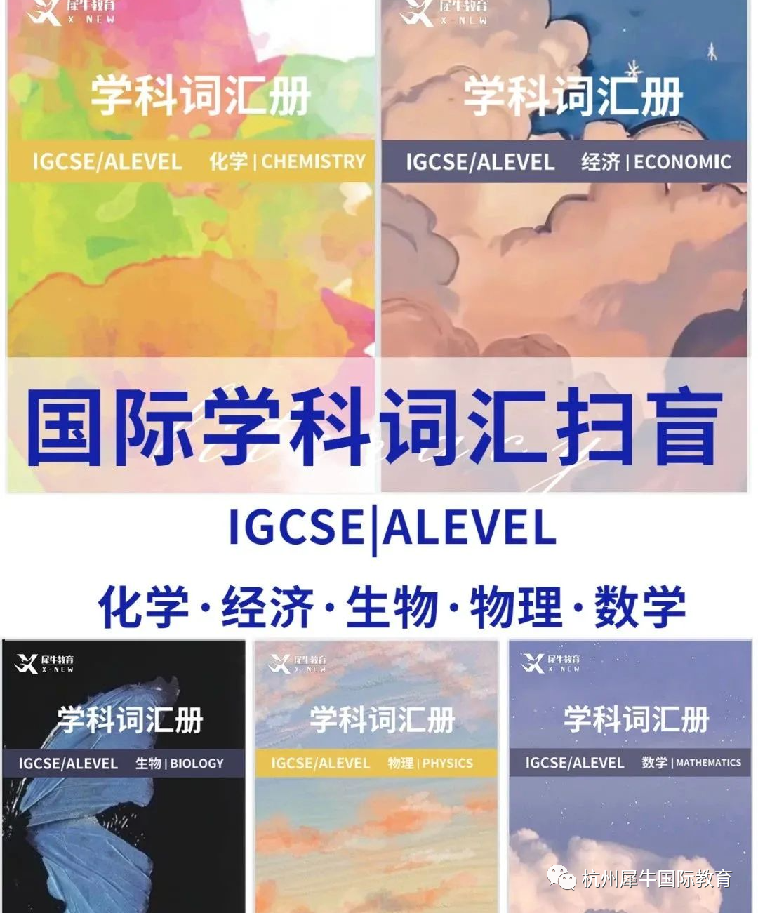 IGCSE课程