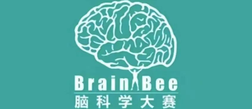 Brain Bee竞赛
