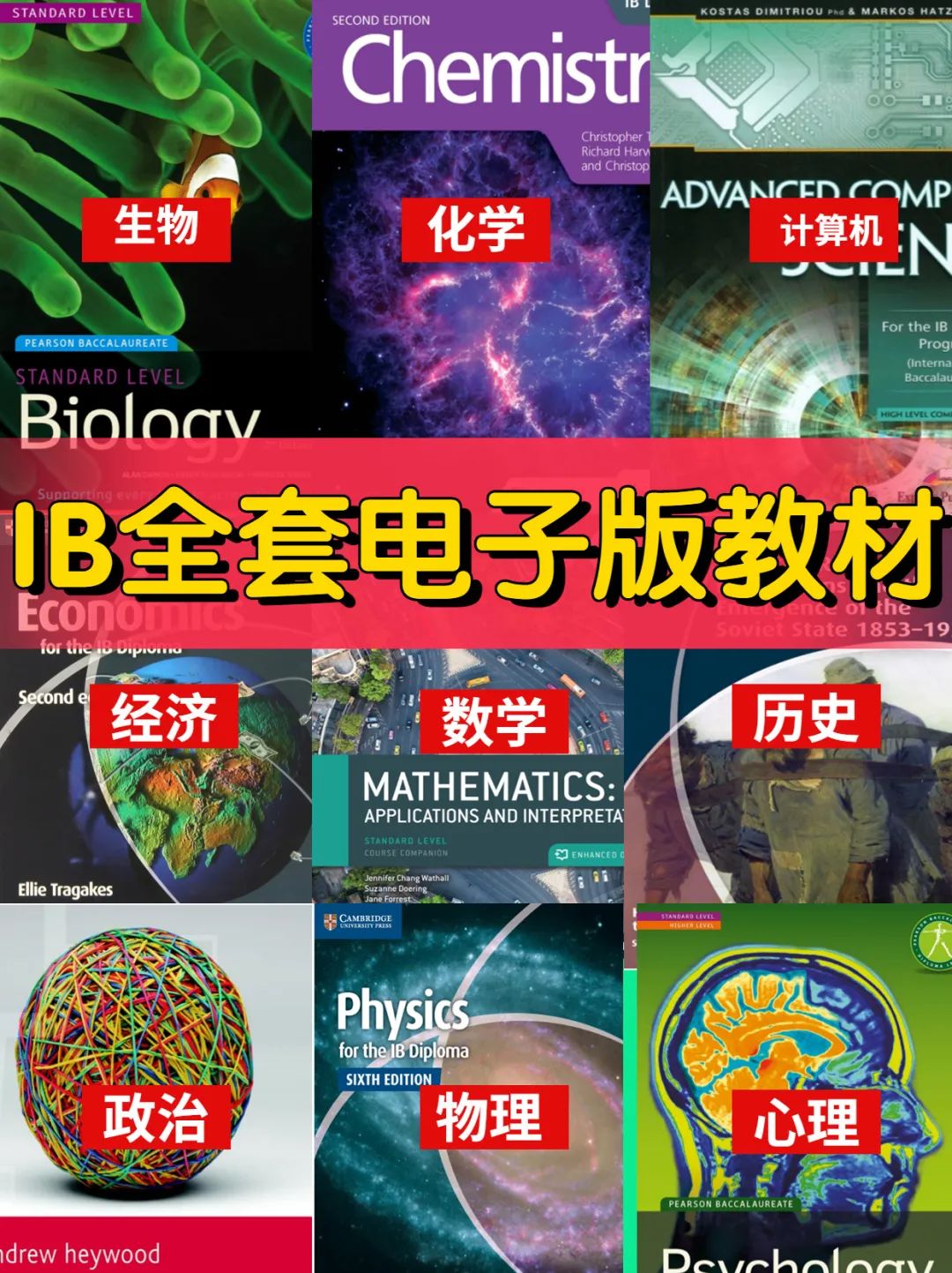 IB课程