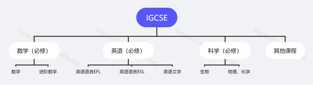 IGCSE课程