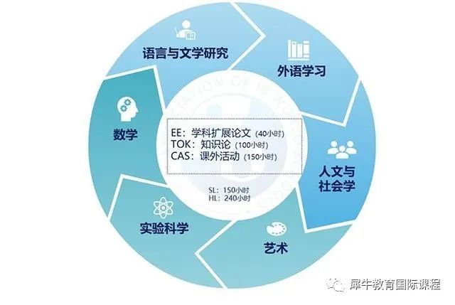 IB课程
