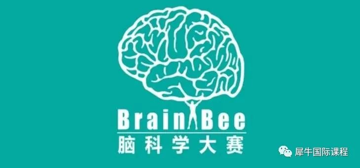 国际竞赛