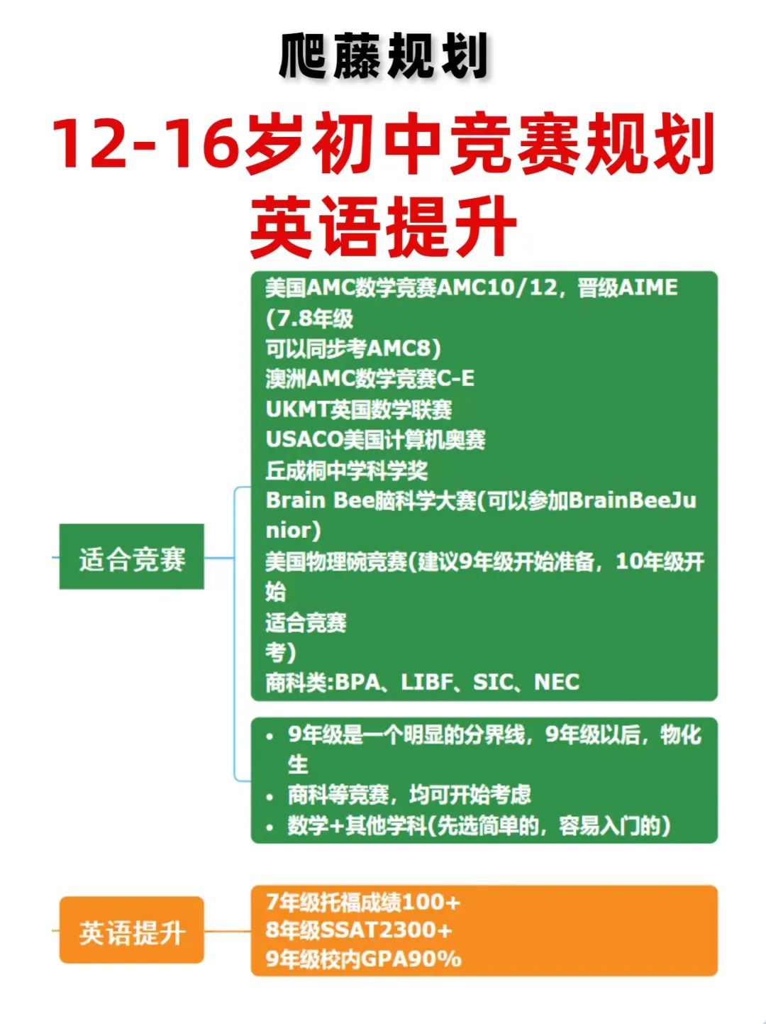国际竞赛