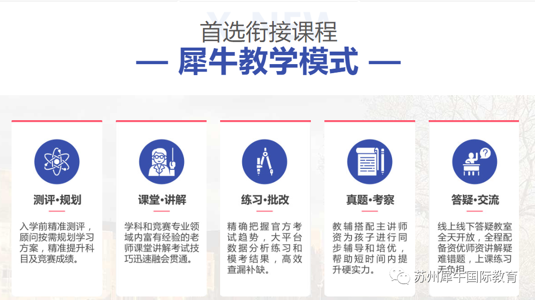 IGCSE辅导