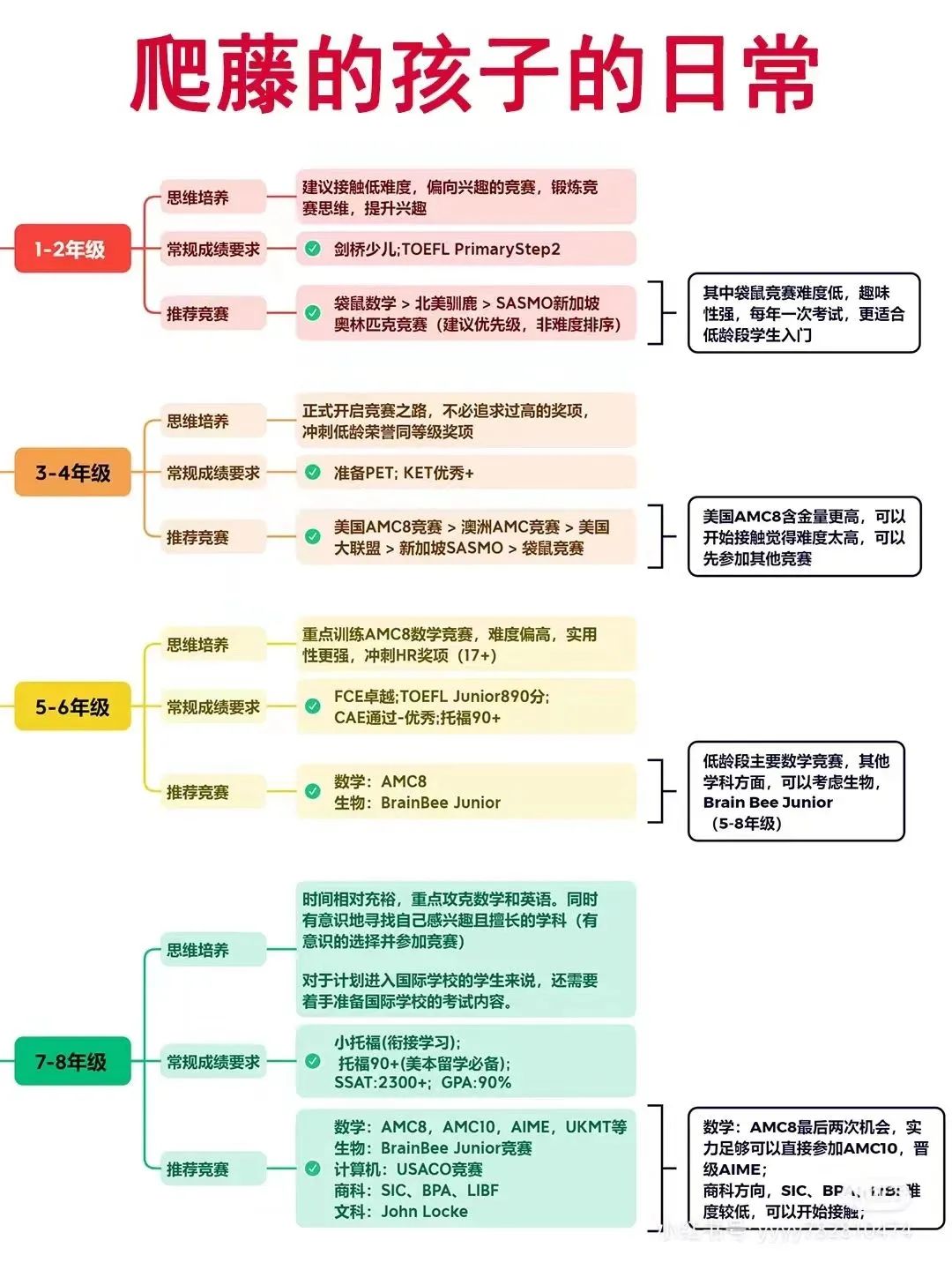 国际竞赛