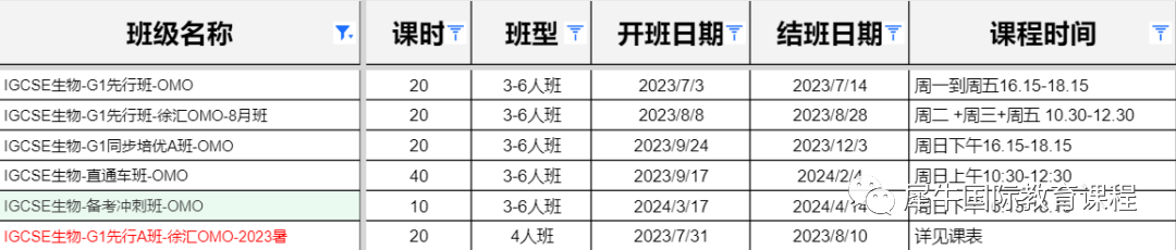 IGCSE课程