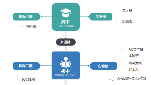 IGCSE课程