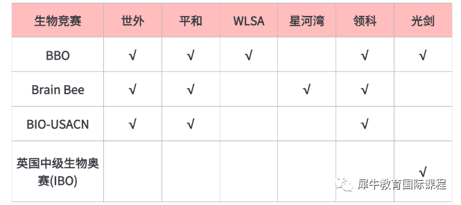 国际竞赛