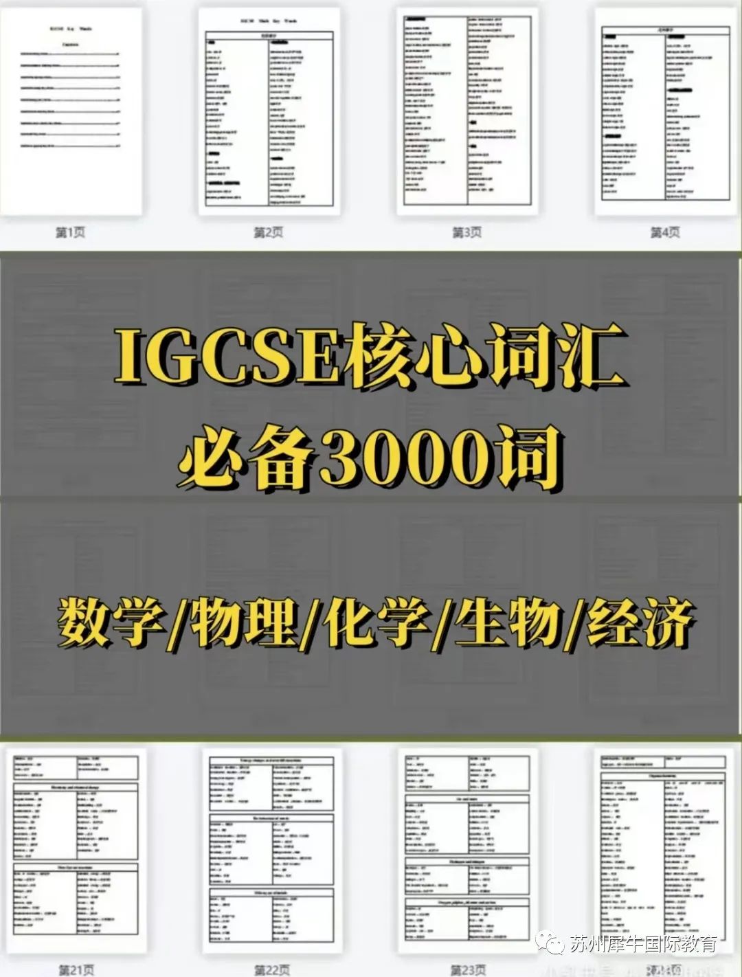 IG经济