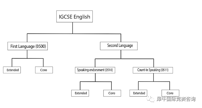 IGCSE英语