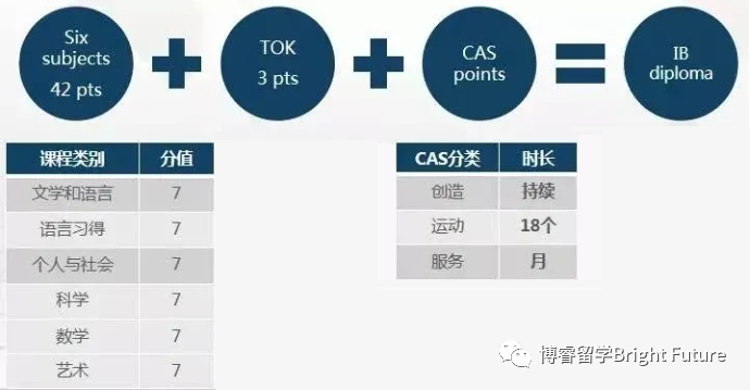 IB课程