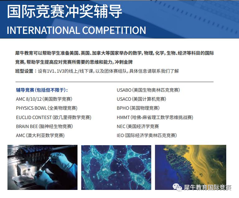 BrainBee脑科学大赛