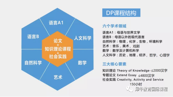 IB课程