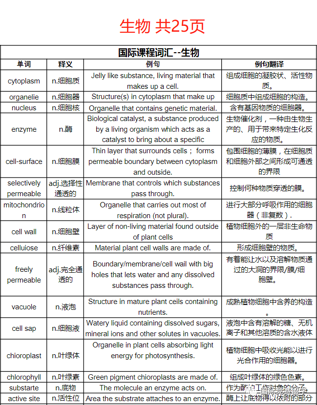 IGCSE课程