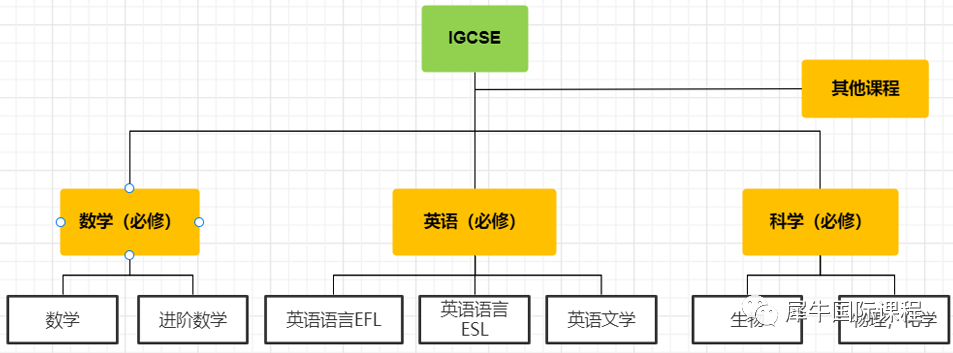IGCSE课程
