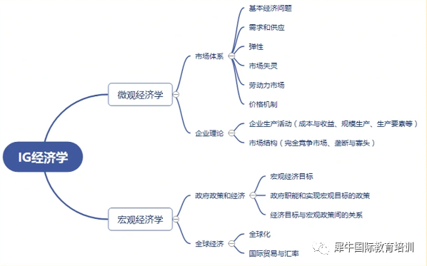 IG经济