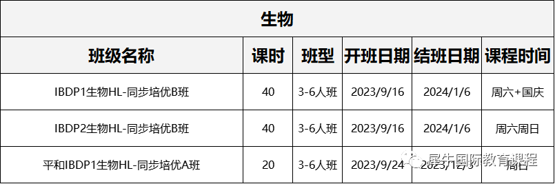 IB课程