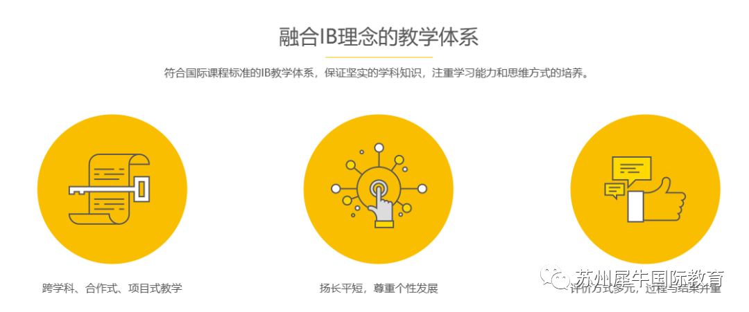 IB课程