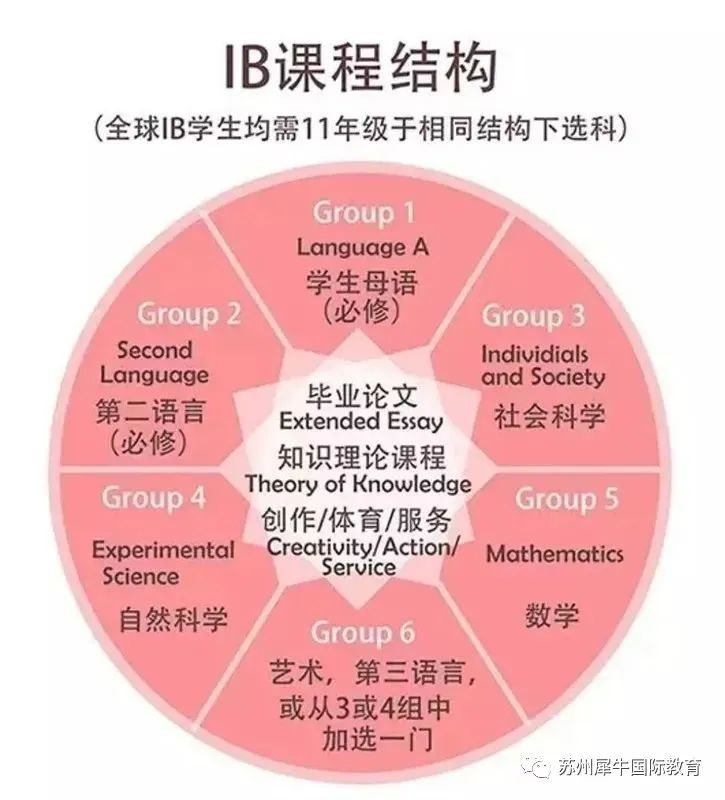 IB课程