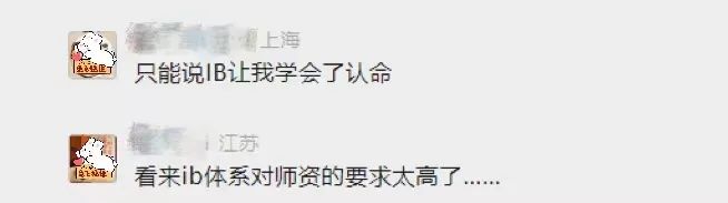 IB课程