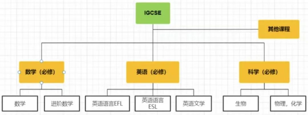 IGCSE课程