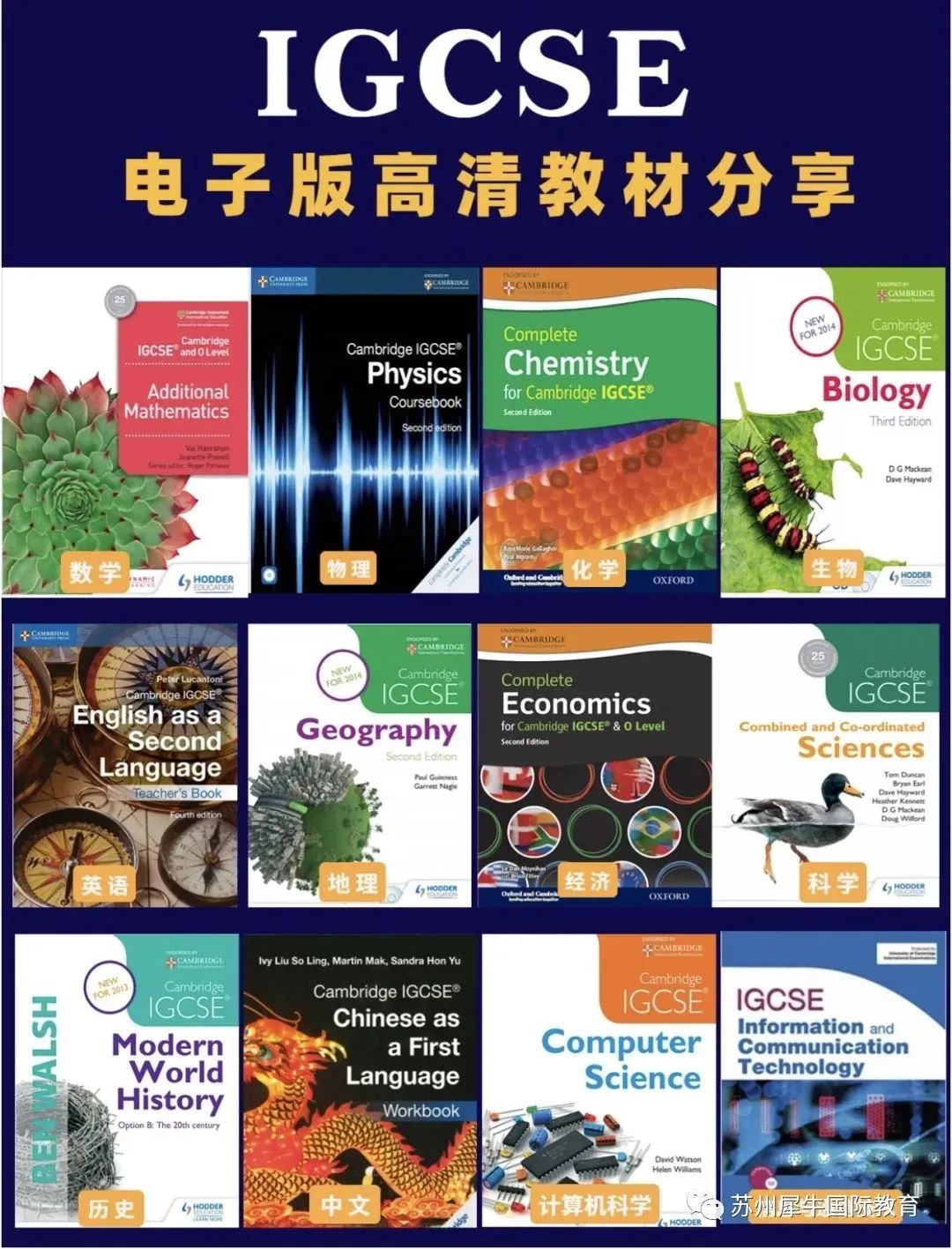 IGCSE课程
