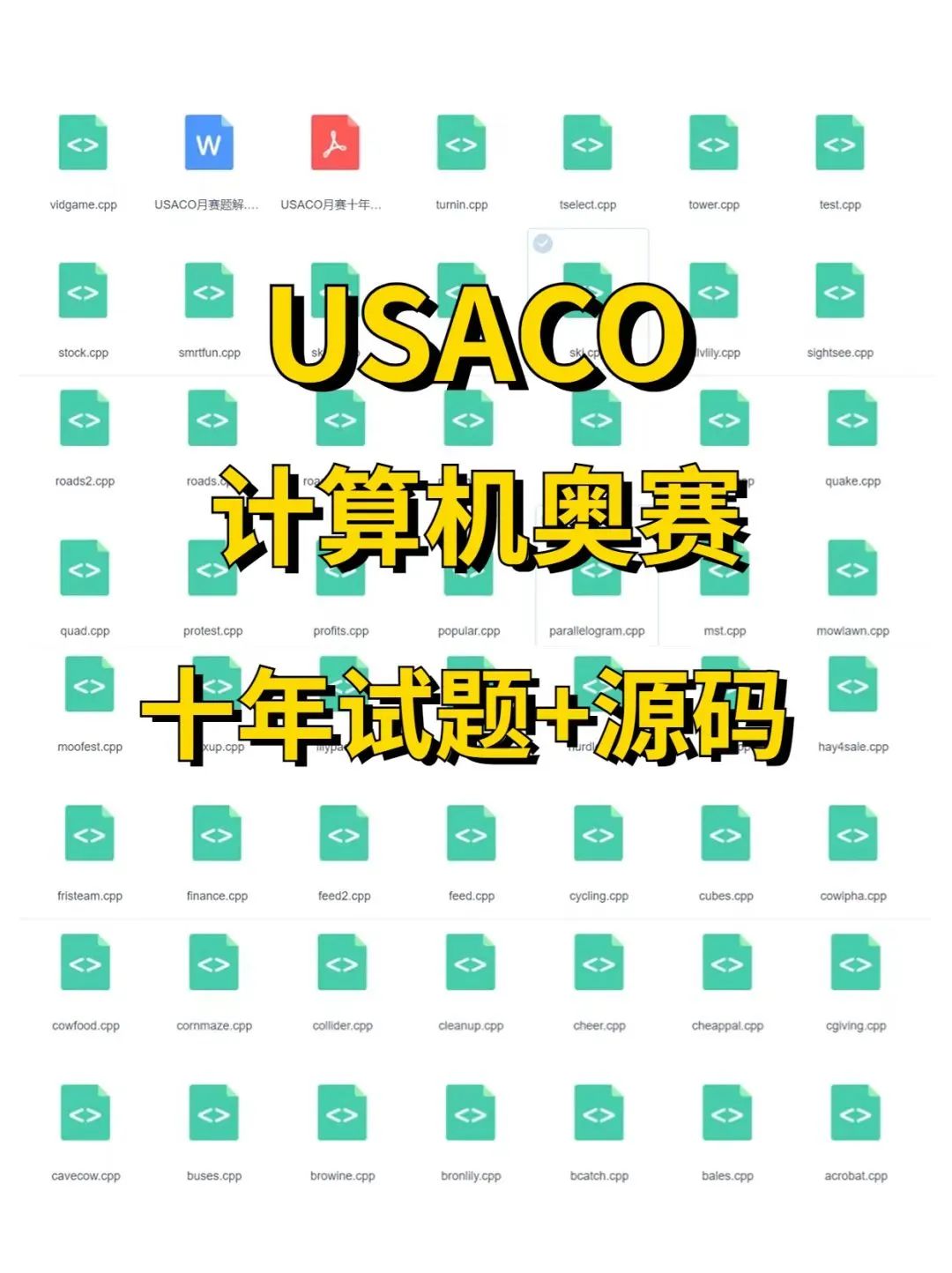USACO竞赛