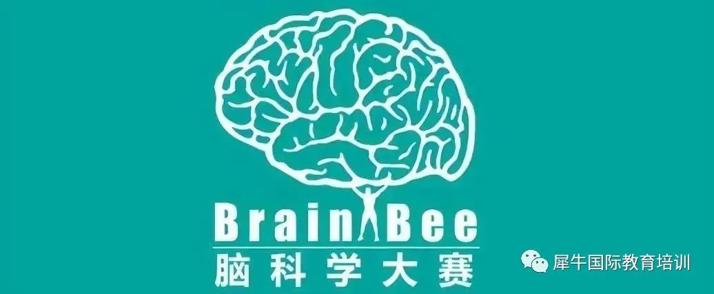Brain Bee竞赛