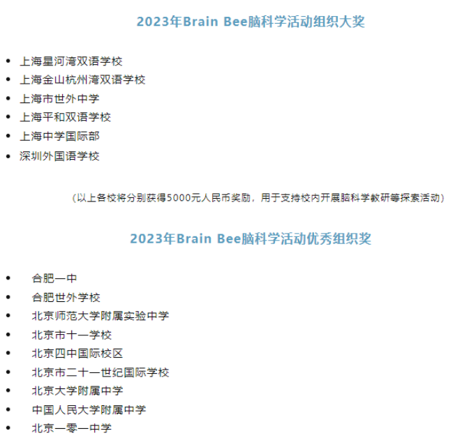 BrainBee竞赛