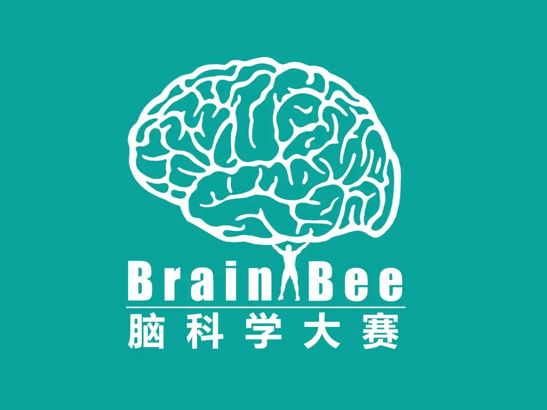 BrainBee生物竞赛,Brainbee竞赛培训,Brainbee脑科学大赛,Brainbee真题,