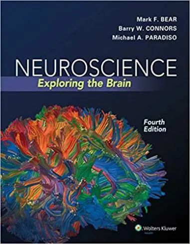 BrainBee生物竞赛,Brainbee竞赛培训,Brainbee脑科学大赛,Brainbee真题,