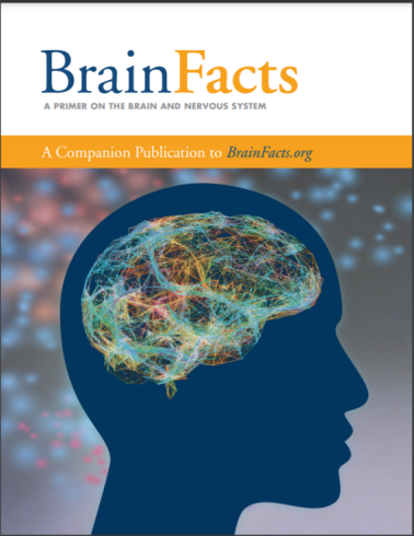 BrainBee生物竞赛,Brainbee竞赛培训,Brainbee脑科学大赛,Brainbee真题,