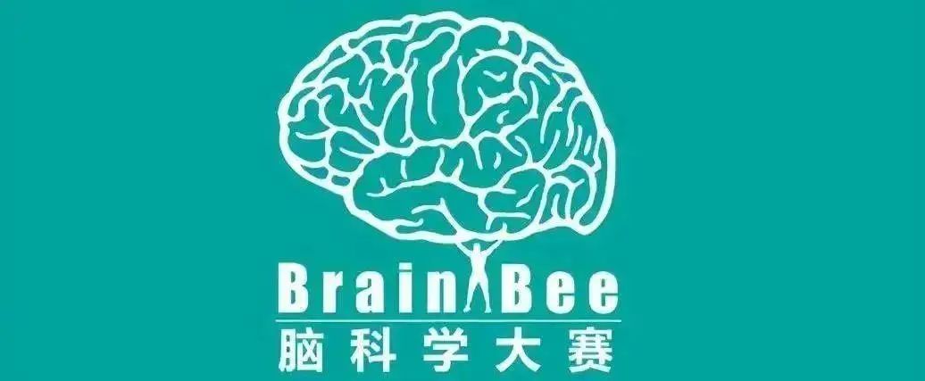 Brain Bee脑科学大赛