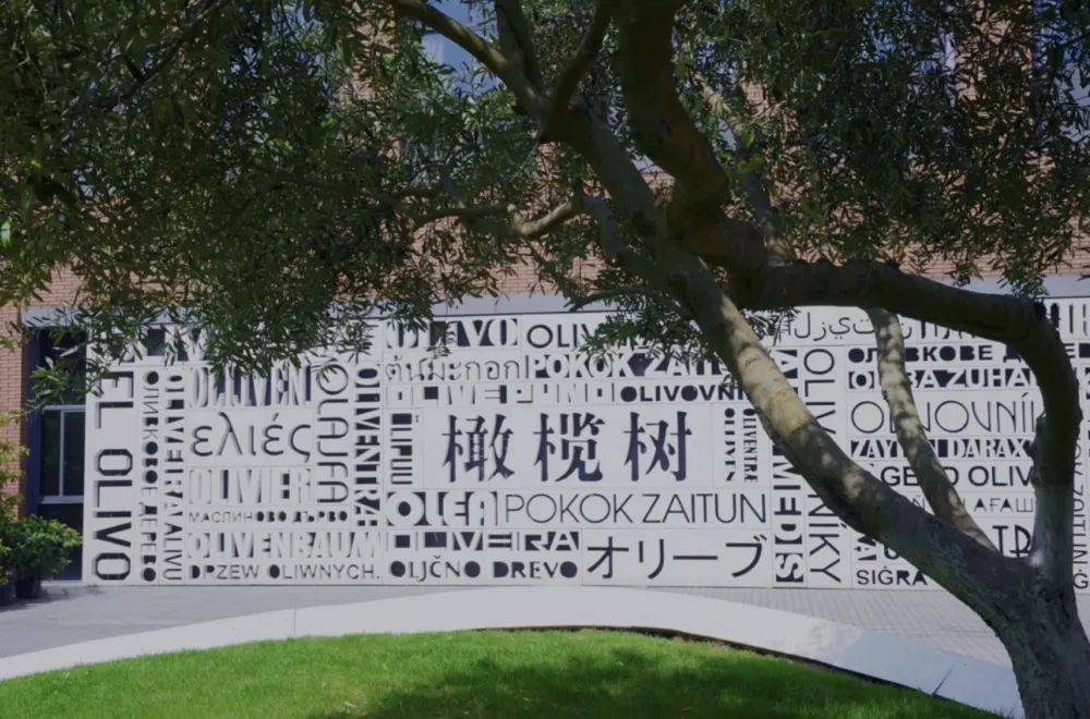 杭州国际学校