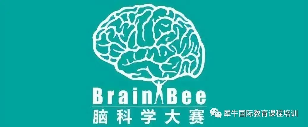 Brain Bee竞赛